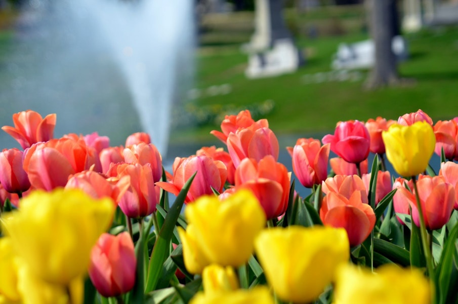 From traditional services to garden receptions.